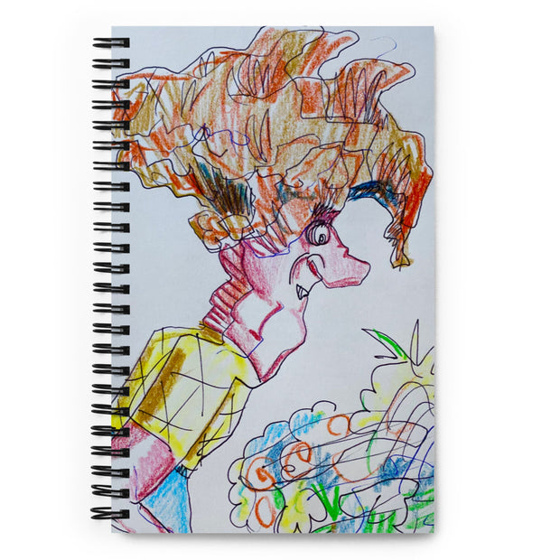 Spiral notebook